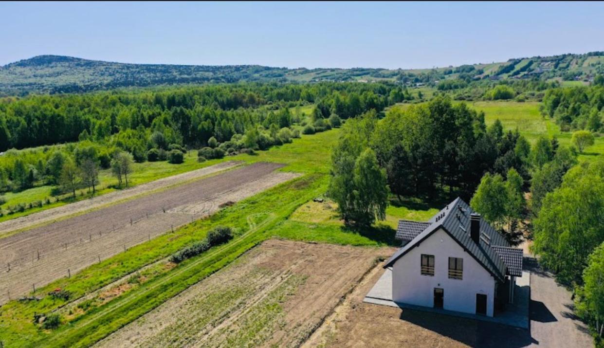 W Dolinie Wilkowskiej